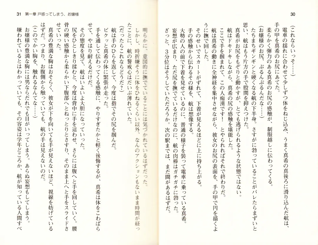 [Monety] 【Kyougaku】Tsuntsun na Ojou-sama ni Chikan shita Kekkawww Fhentai - Page 18