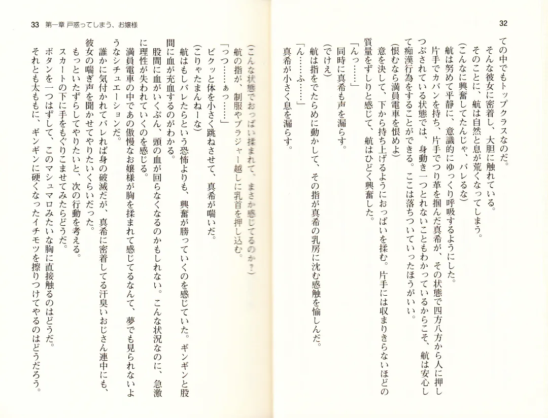 [Monety] 【Kyougaku】Tsuntsun na Ojou-sama ni Chikan shita Kekkawww Fhentai - Page 19