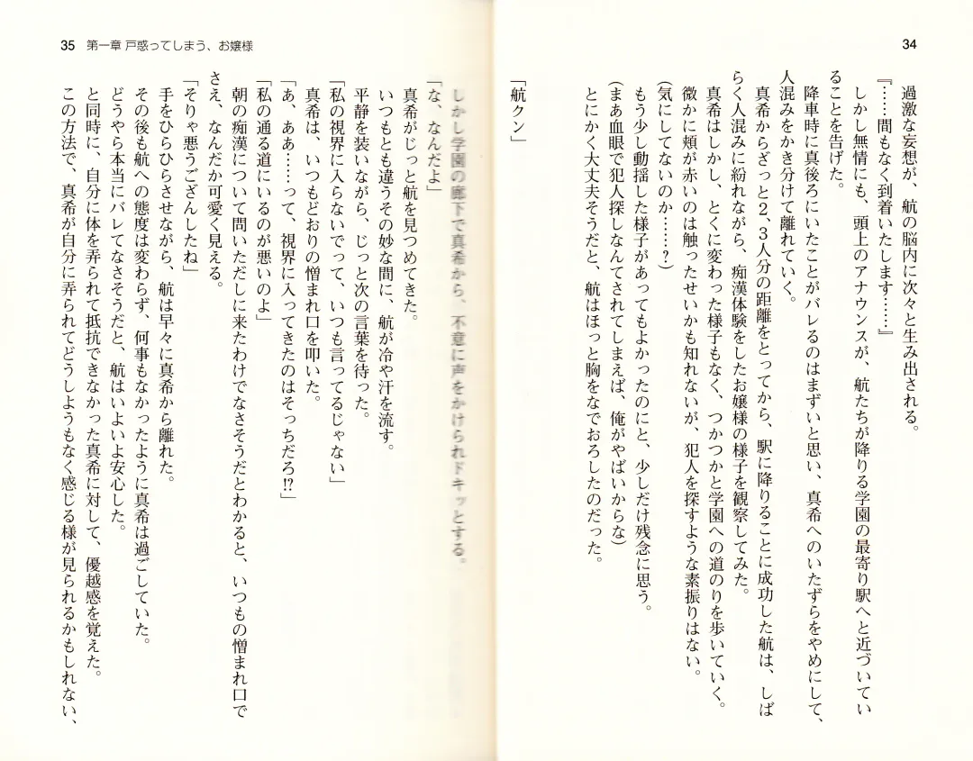 [Monety] 【Kyougaku】Tsuntsun na Ojou-sama ni Chikan shita Kekkawww Fhentai - Page 20