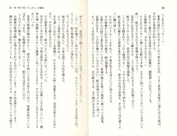 [Monety] 【Kyougaku】Tsuntsun na Ojou-sama ni Chikan shita Kekkawww Fhentai - Page 18