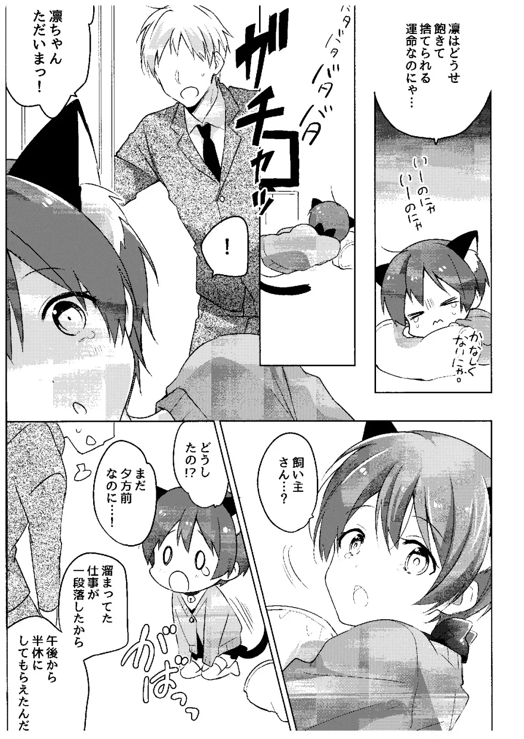 [Non] Haru no Samishi ga Rin-chan Fhentai - Page 5
