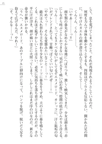 [A1 - Gozen Reiji] Angel Seed Plus3　―KomakiSayo funtouki― Fhentai - Page 25