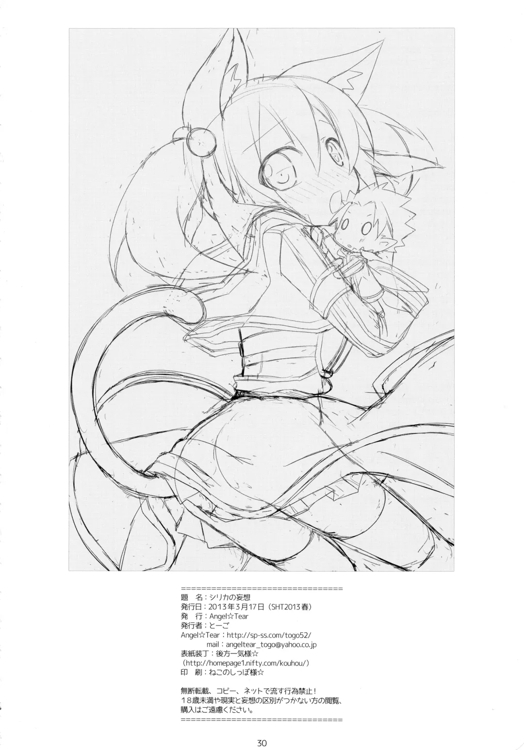 [Togo] Silica no Mousou Fhentai - Page 29