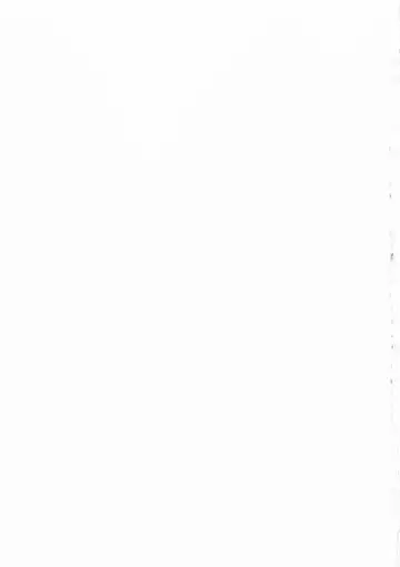 [Sasagawa Hayashi] Osananajimi ni Fureta Natsu Fhentai - Page 210