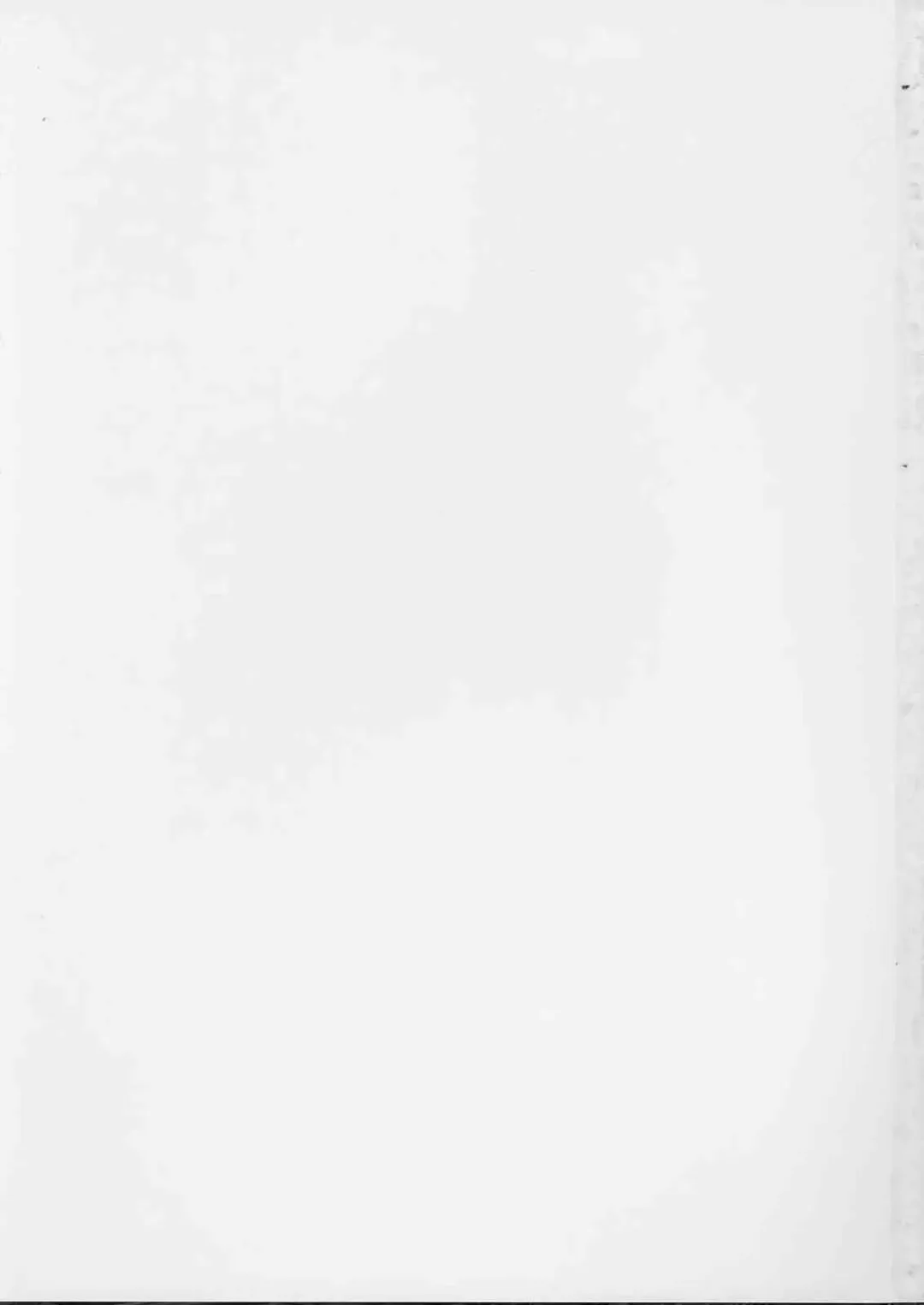 [Izumi Tsubasu] Neko Tama Fhentai - Page 19