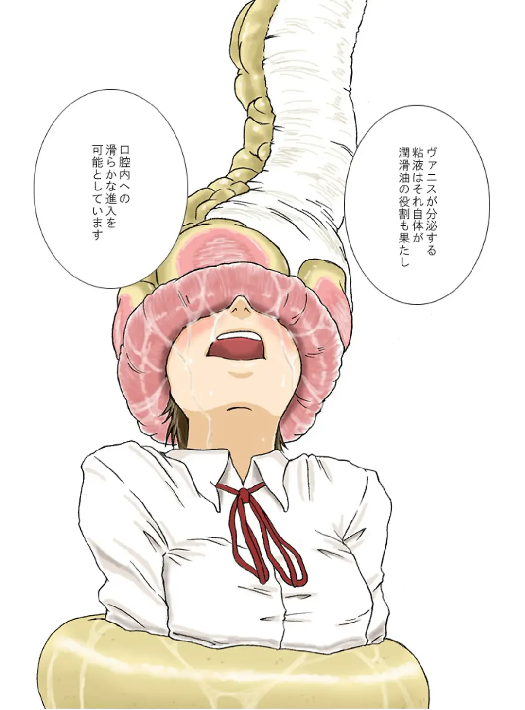 [Yoikuma] P045-02 Vanis Report Fhentai - Page 26