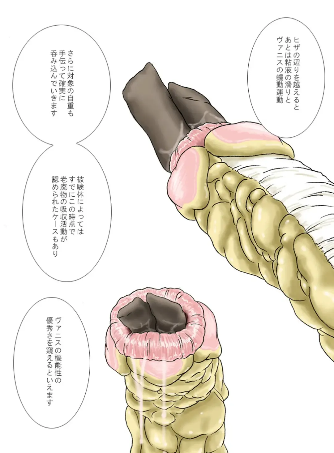 [Yoikuma] P045-02 Vanis Report Fhentai - Page 35