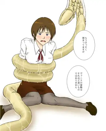 [Yoikuma] P045-02 Vanis Report Fhentai - Page 22