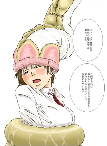 [Yoikuma] P045-02 Vanis Report Fhentai - Page 25