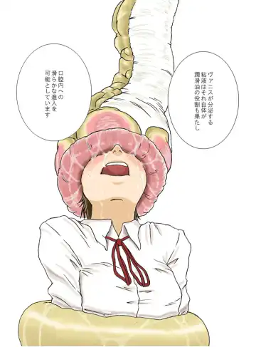 [Yoikuma] P045-02 Vanis Report Fhentai - Page 26