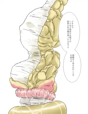 [Yoikuma] P045-02 Vanis Report Fhentai - Page 30