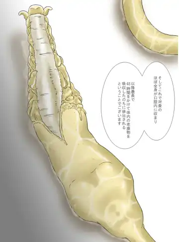 [Yoikuma] P045-02 Vanis Report Fhentai - Page 36