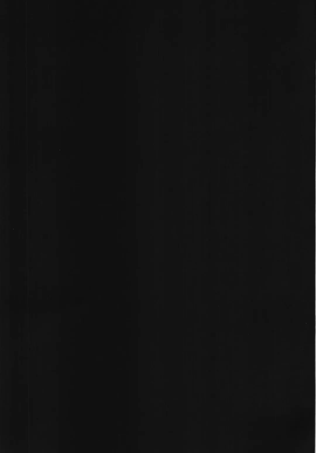 [Ahobaka] Netorare Ningyo Zuma no Shiranai Karada Fhentai - Page 55