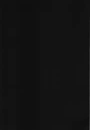 [Ahobaka] Netorare Ningyo Zuma no Shiranai Karada Fhentai - Page 55