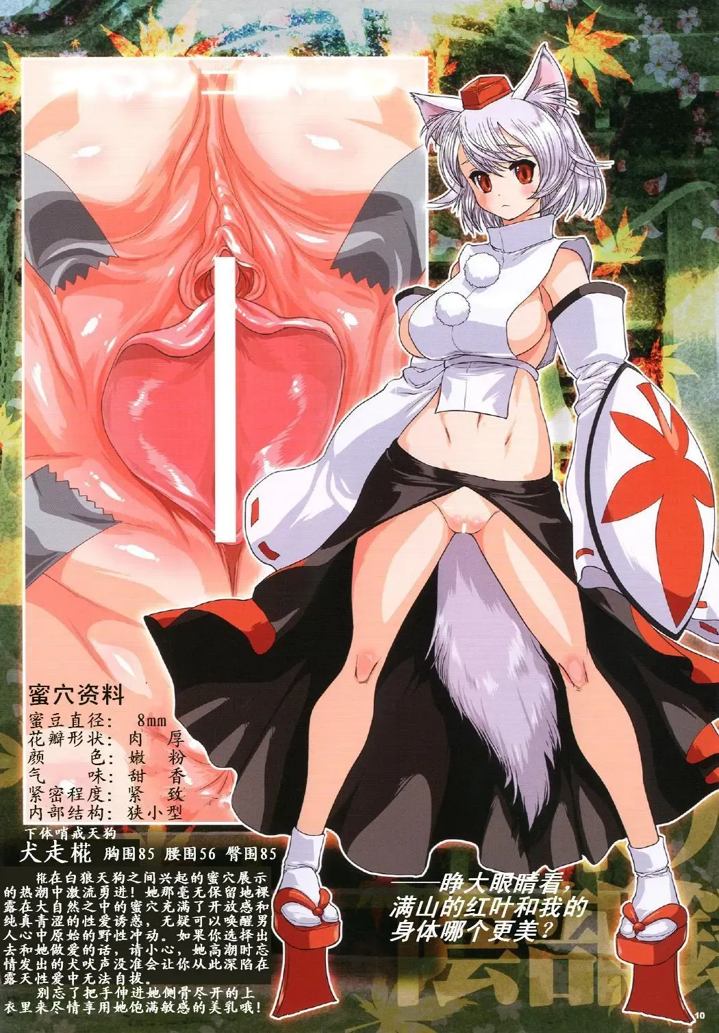 [Cosine] Touhou Inburoku Fhentai - Page 13