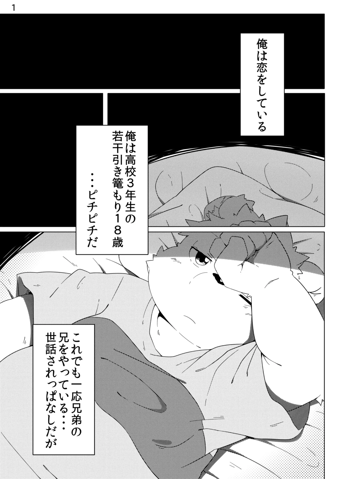 [Hinami] Tameiki Kyoudai Fhentai - Page 3