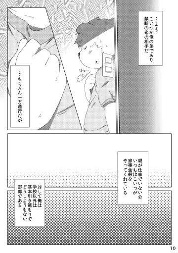 [Hinami] Tameiki Kyoudai Fhentai - Page 12