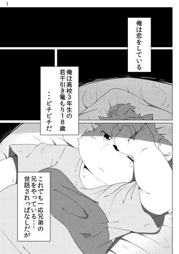 [Hinami] Tameiki Kyoudai Fhentai - Page 3