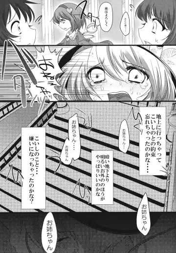 [Shiruka Bakaudon] The greatest hate springs from the greatest love Fhentai - Page 6