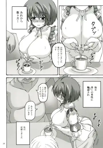 [Kirisawa Tokito] Order Fhentai - Page 18