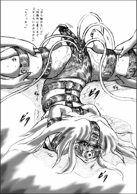 [Sumomo Ex] Futanari Enzai Shoujo Fhentai - Page 4