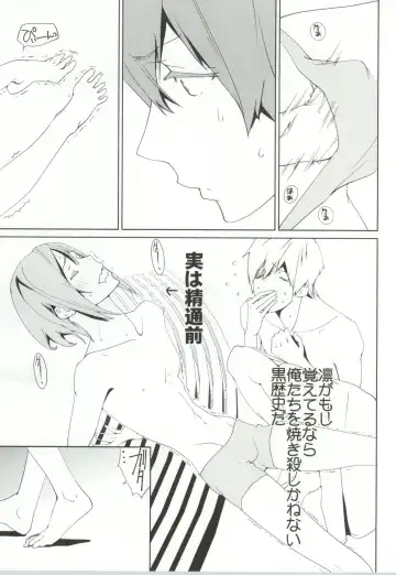 [Clydester] NUDIE! Fhentai - Page 4