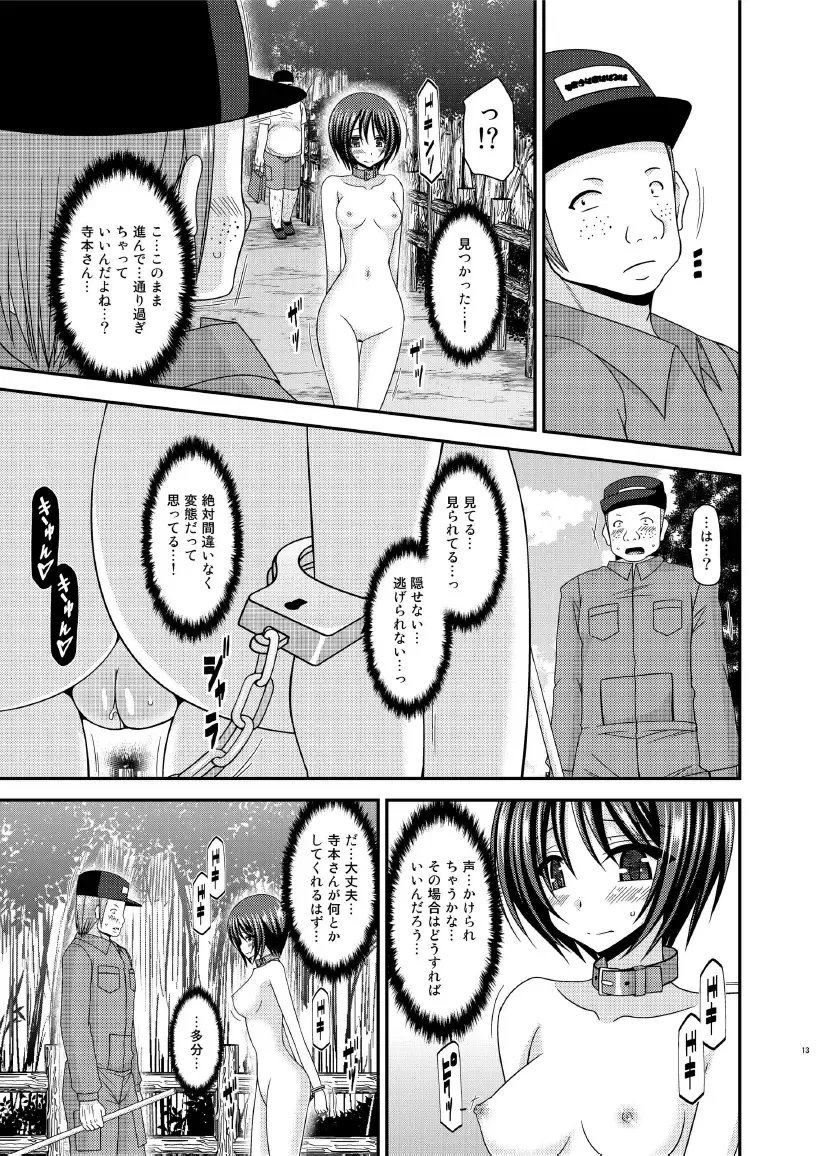 [Charu] Roshutsu Shoujo Yuugi Ran Jou Fhentai - Page 13