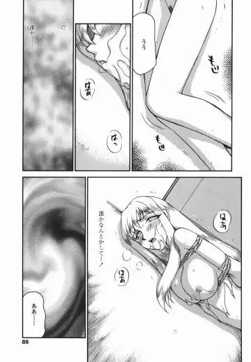[Taira Hajime] W.W.L. Fhentai - Page 85
