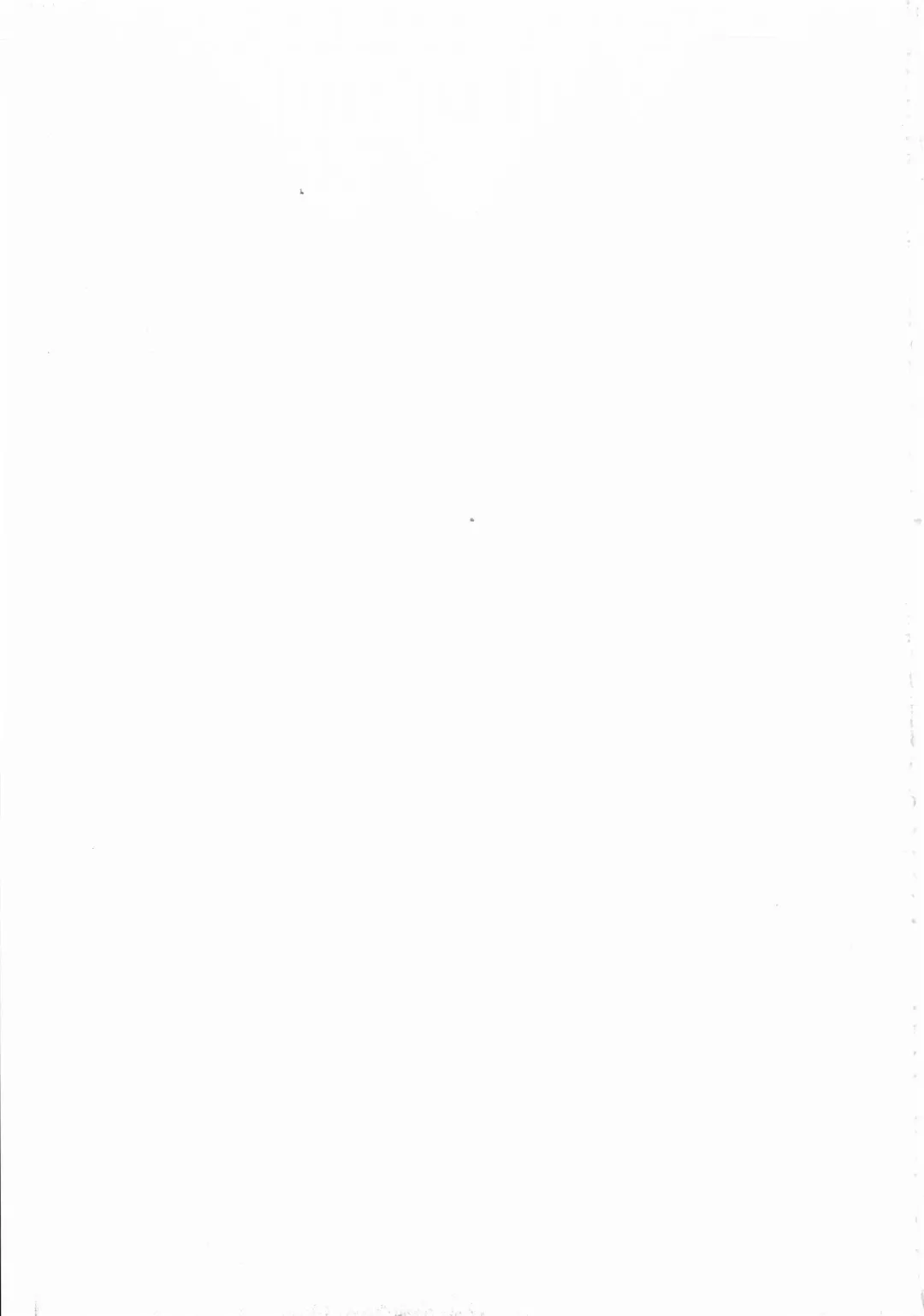 [Izumi - Reizei] 1004P+ Cyclone no Soushuuhen Fhentai - Page 191