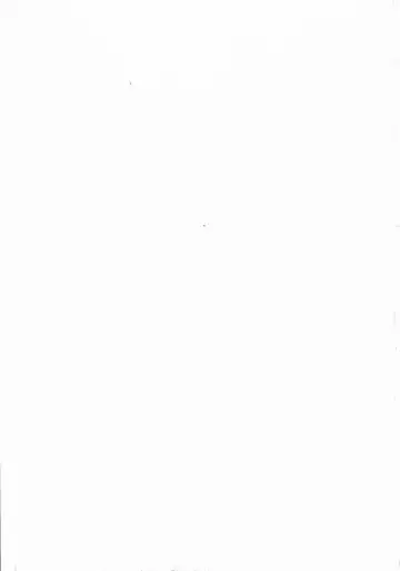 [Izumi - Reizei] 1004P+ Cyclone no Soushuuhen Fhentai - Page 191