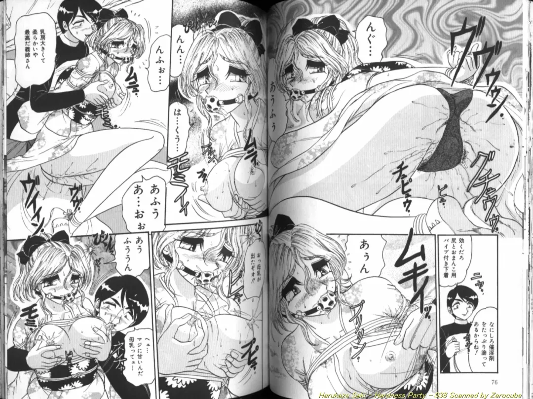[Harukaze Saki] Seien ~Hardness Party~ Fhentai - Page 39