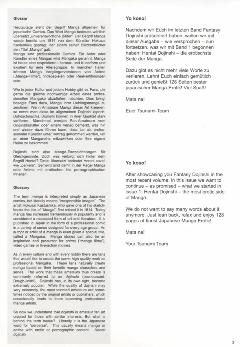 Tsunami Graphix 3 - Hentai Dojinshi 2 Fhentai - Page 5