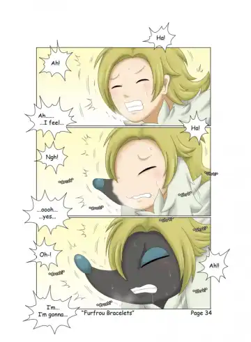 [Winick Lim] Furfrou Bracelets Fhentai - Page 34