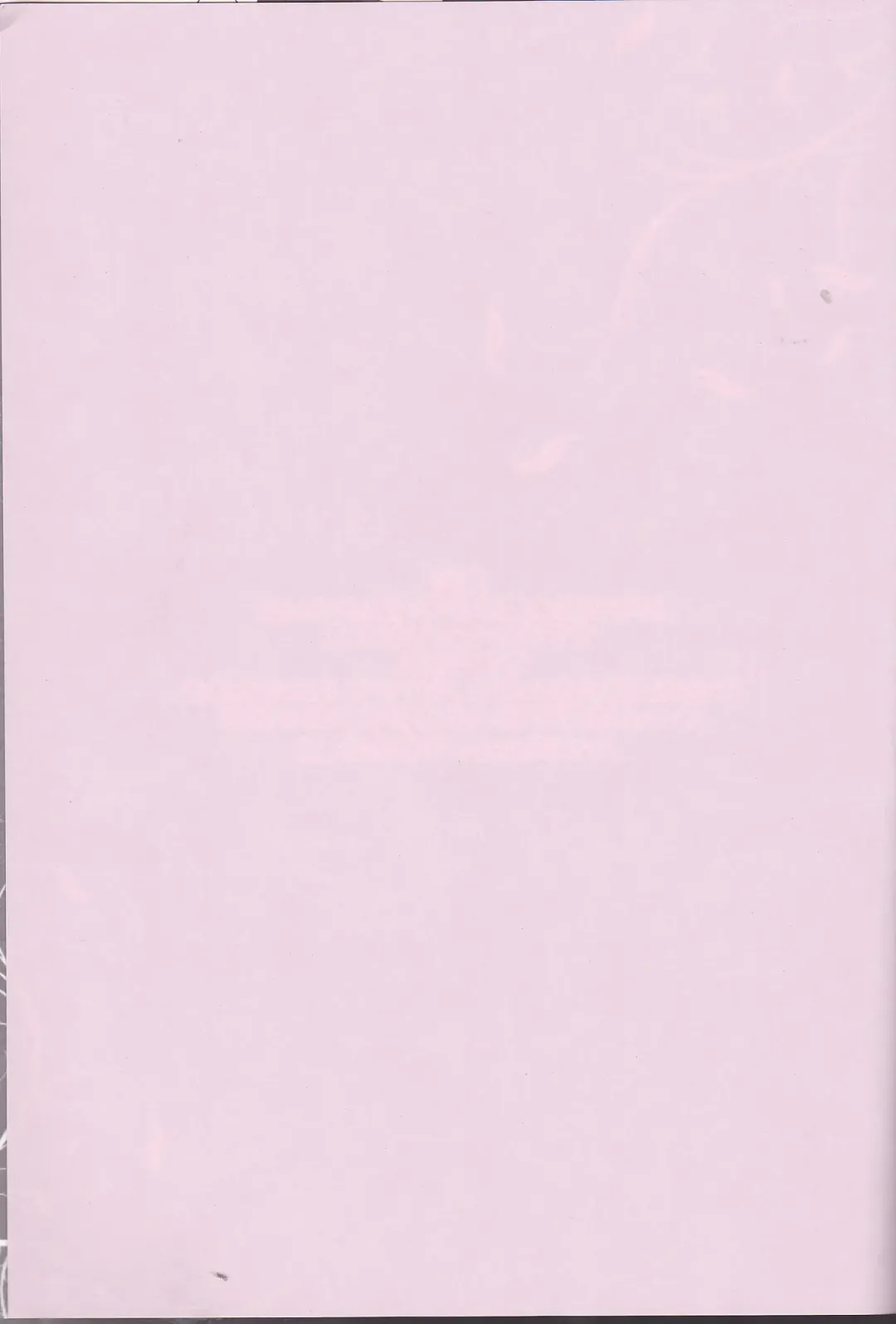 [Ijiro Suika] Kurorufu Fhentai - Page 2