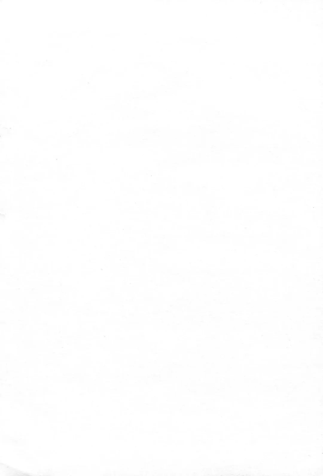 [Ichinomiya] Yoru Yahagi Fhentai - Page 3