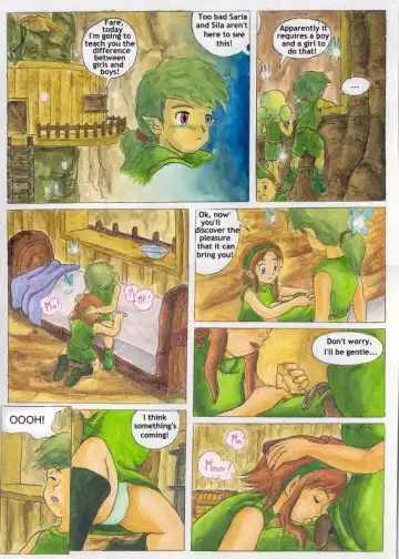 Bad zelda 2 (passage) ENGLISH & other stuff Fhentai - Page 18