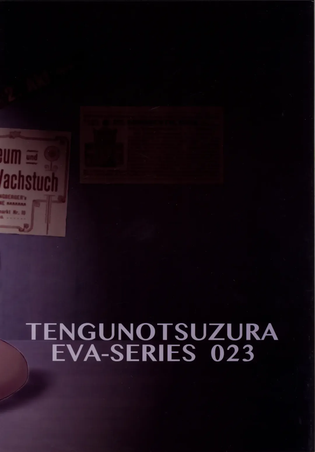 [Kuro Tengu] HIMEGANE Fhentai - Page 26