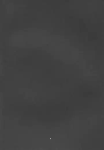 [Obyaa] Yuuwaku Usagi wa Mazo Usagi Fhentai - Page 4