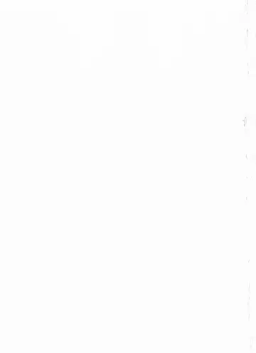 [Mizuyoukan] ORANGE MARMALADE Fhentai - Page 40