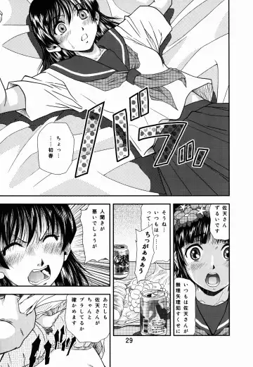 [Iio Tetsuaki - Iio Tetsuomi] Toaru Iio no Ero Manga Fhentai - Page 29