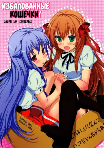 Read [Hisasi] AmaeNeko | Избалованные кошечки! - Fhentai