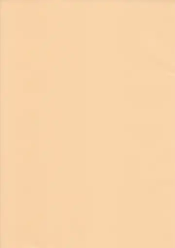 [B.tarou] Fukugyo no Susume Fhentai - Page 2