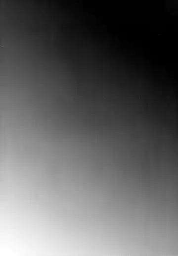 [Shimaji] Nikubenki-kun no Shuugaku Ryokou Fhentai - Page 2