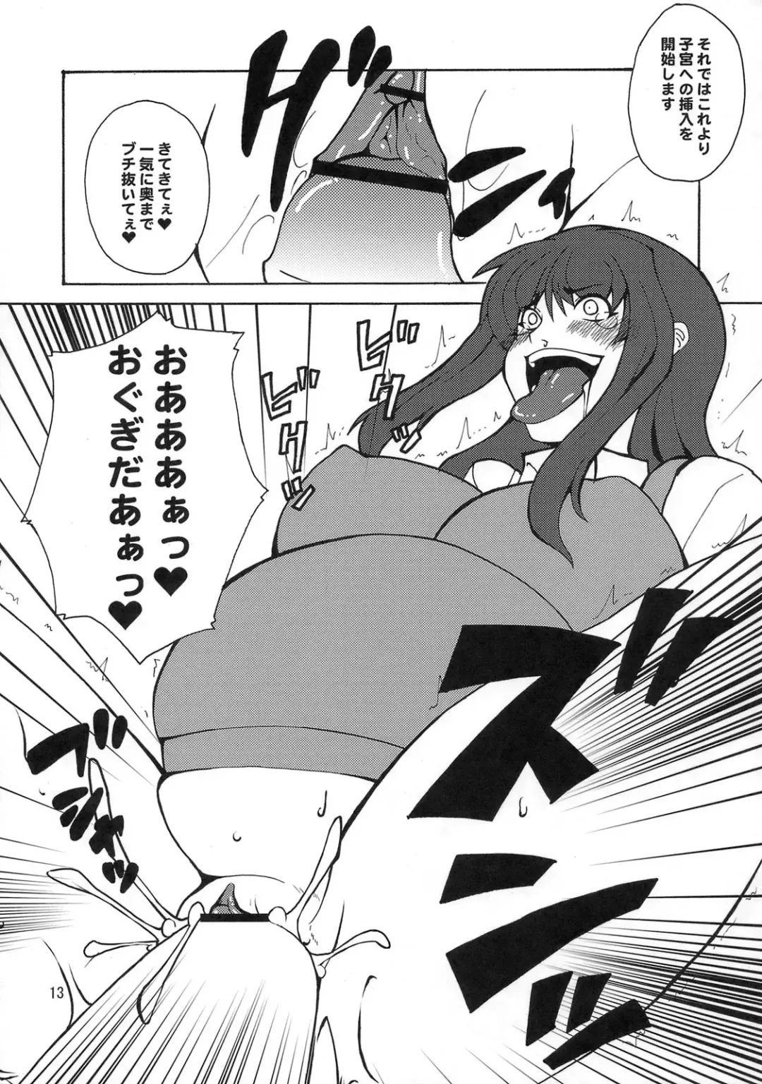 [Canadazin] Kyouran Kichi Fhentai - Page 12