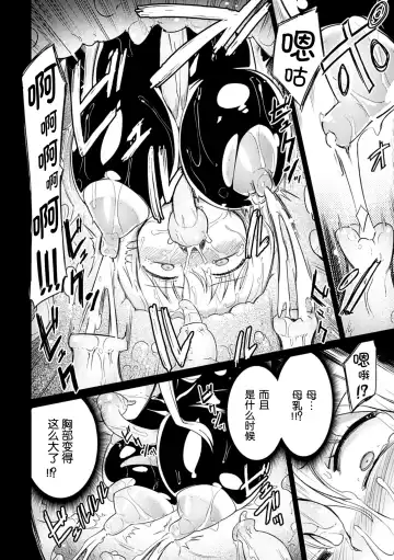 [Homura Subaru] The Pandemimic Fhentai - Page 6