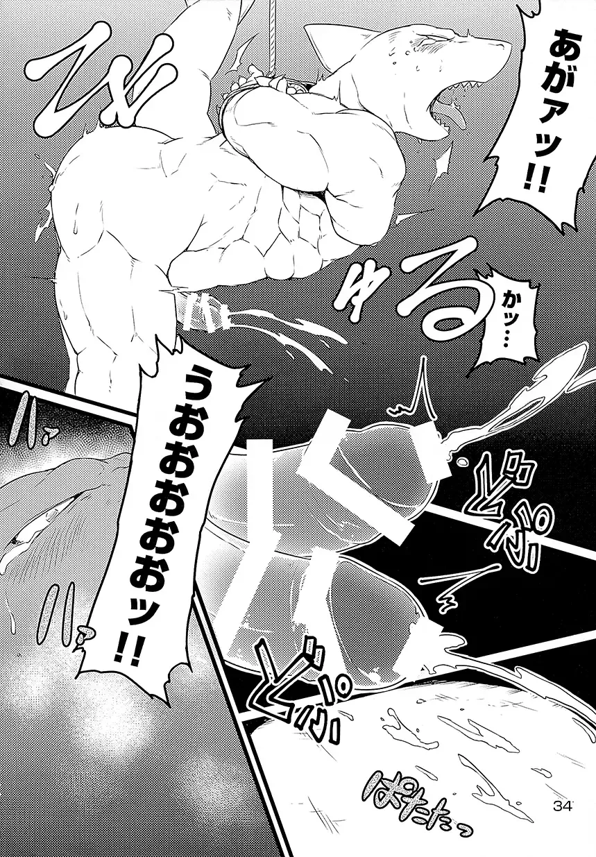 [Kishiguma Toragorou] Asmodeus no Toba Fhentai - Page 33