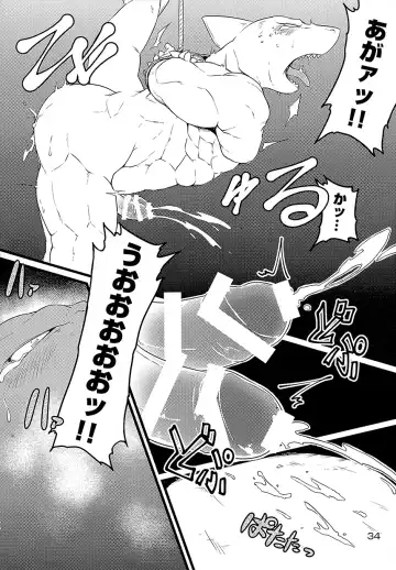 [Kishiguma Toragorou] Asmodeus no Toba Fhentai - Page 33