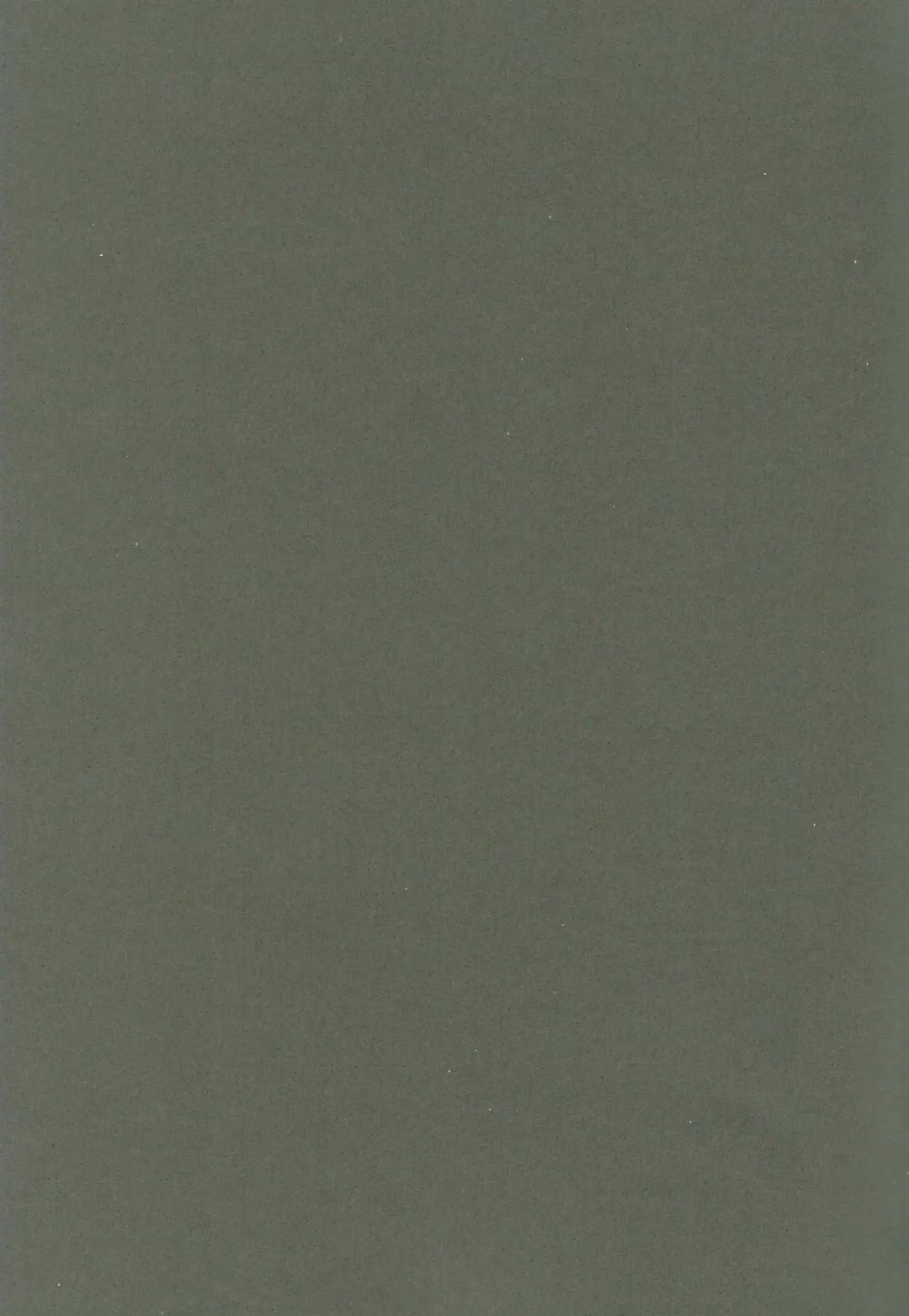 [Mujina] Black Black Fhentai - Page 14