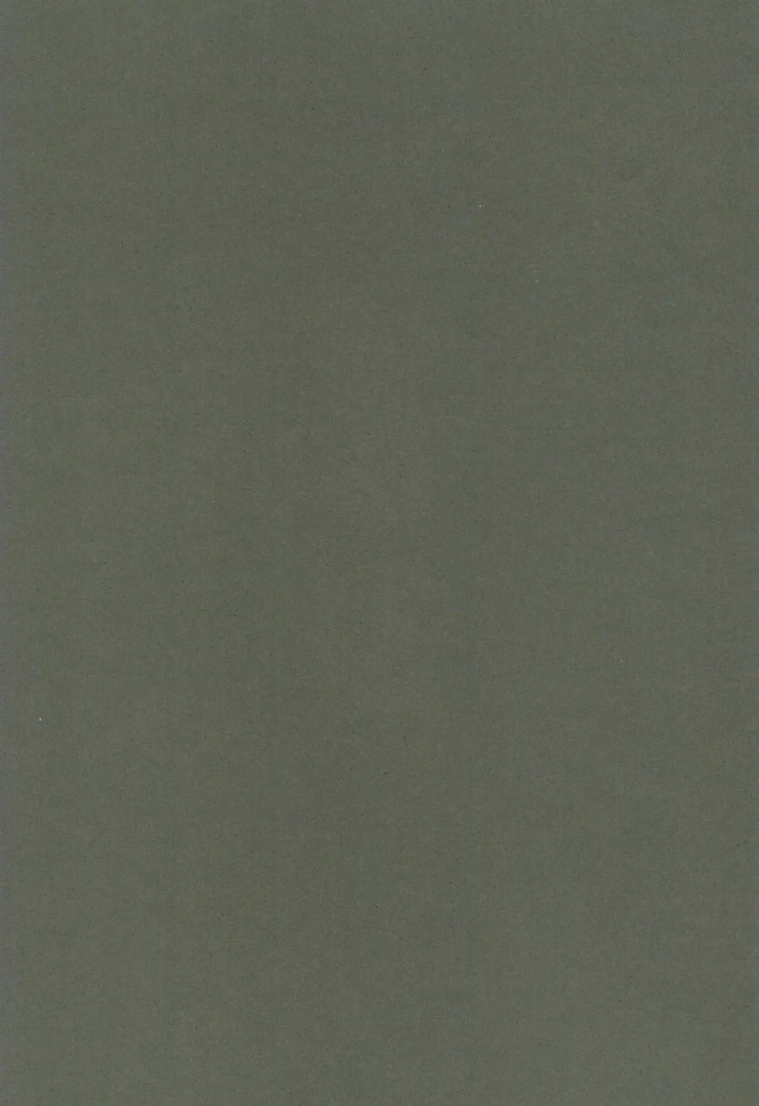 [Mujina] Black Black Fhentai - Page 3