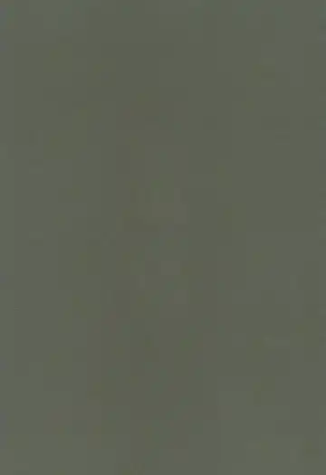 [Mujina] Black Black Fhentai - Page 3